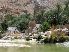 210 Wadi Tiwi.JPG